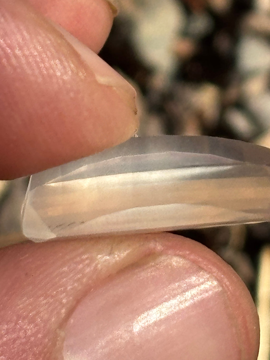 7 carat Opposed bar faceted pegmatite crystal